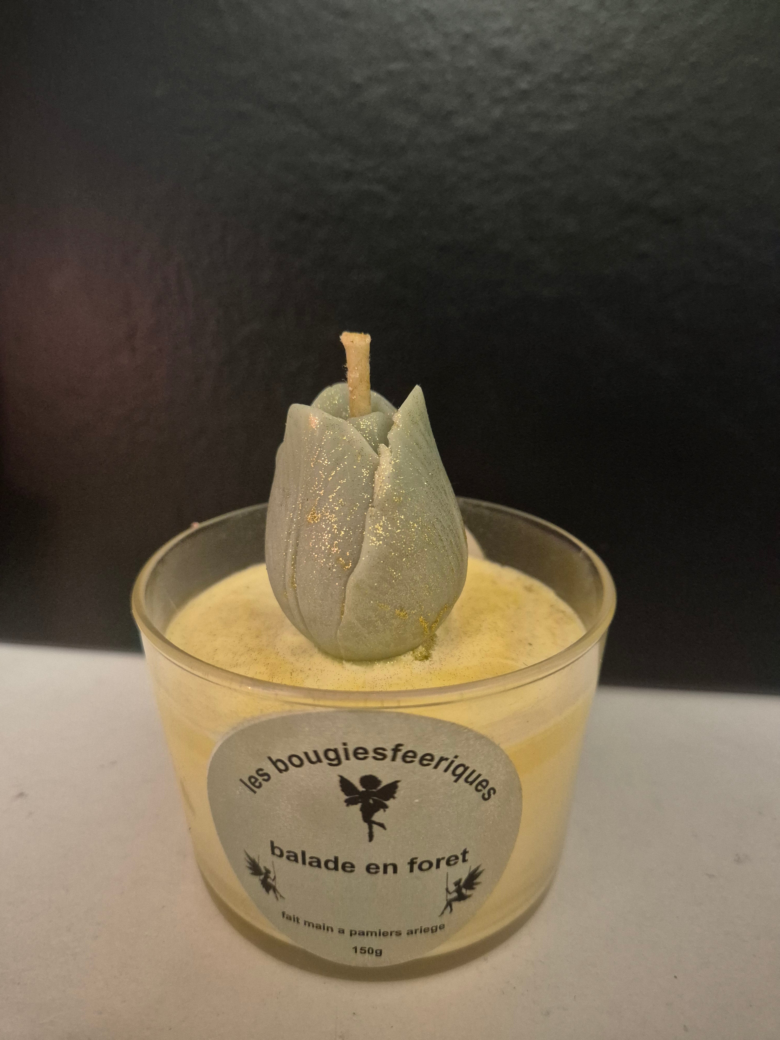 bodega tulipe "ballade en forêt"