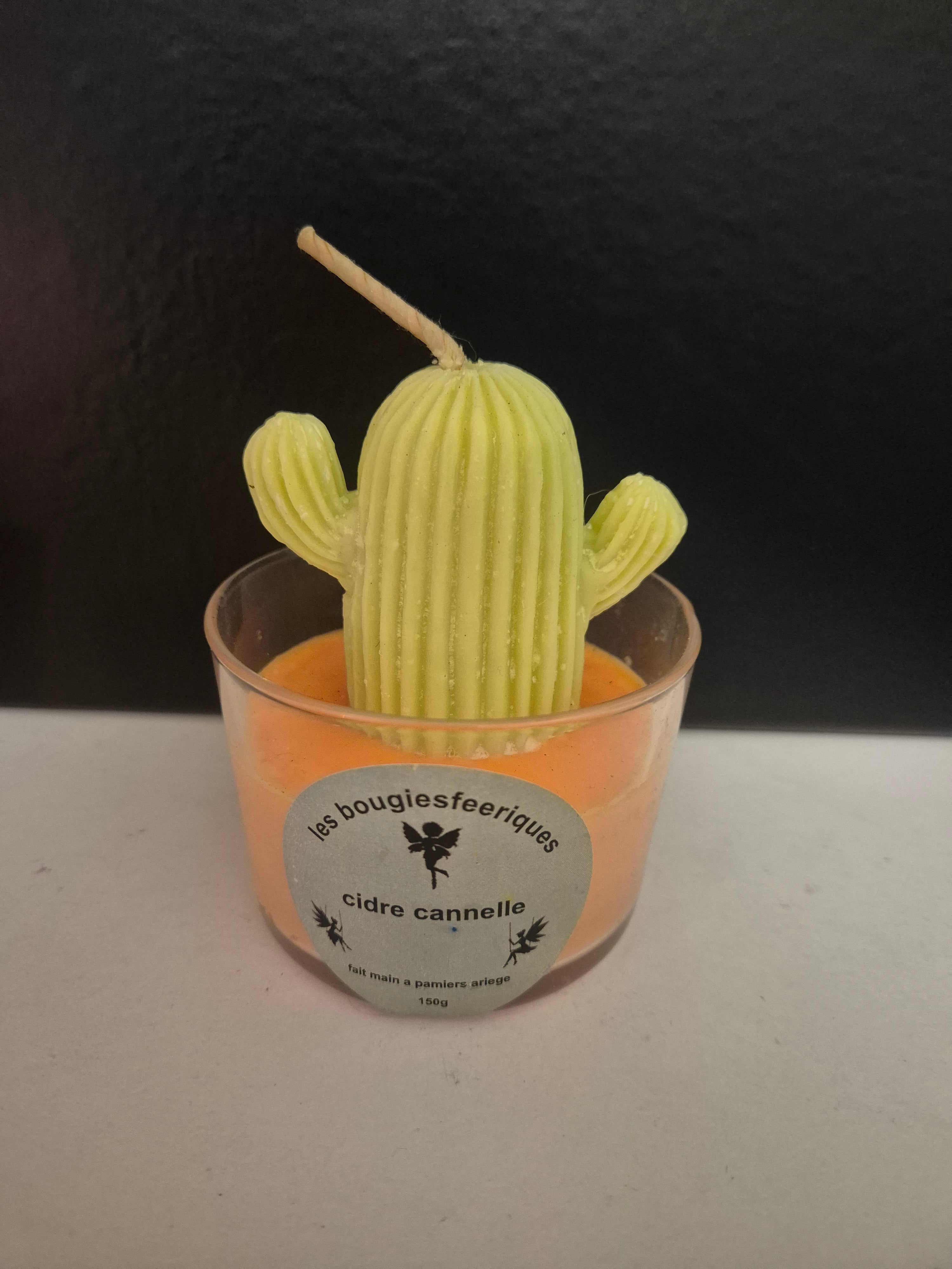 bodega cactus cidre cannelle