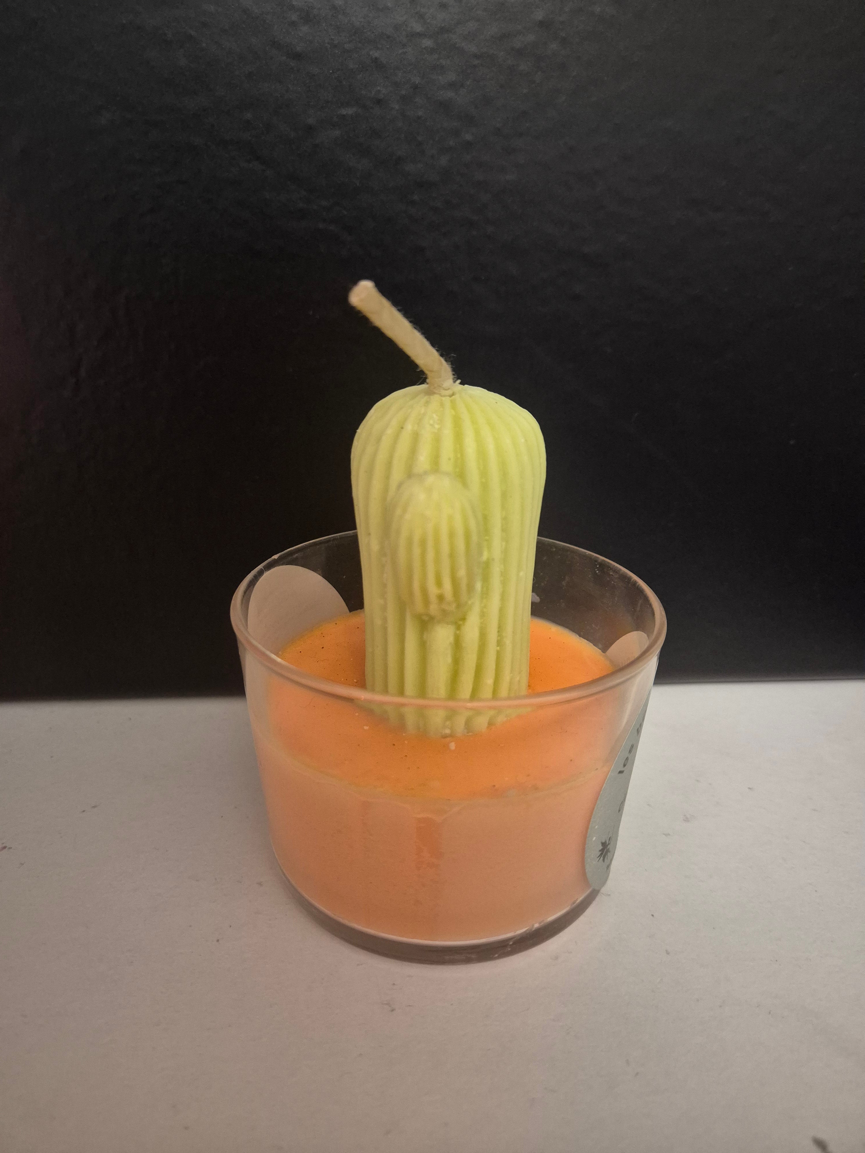 bodega cactus cidre cannelle