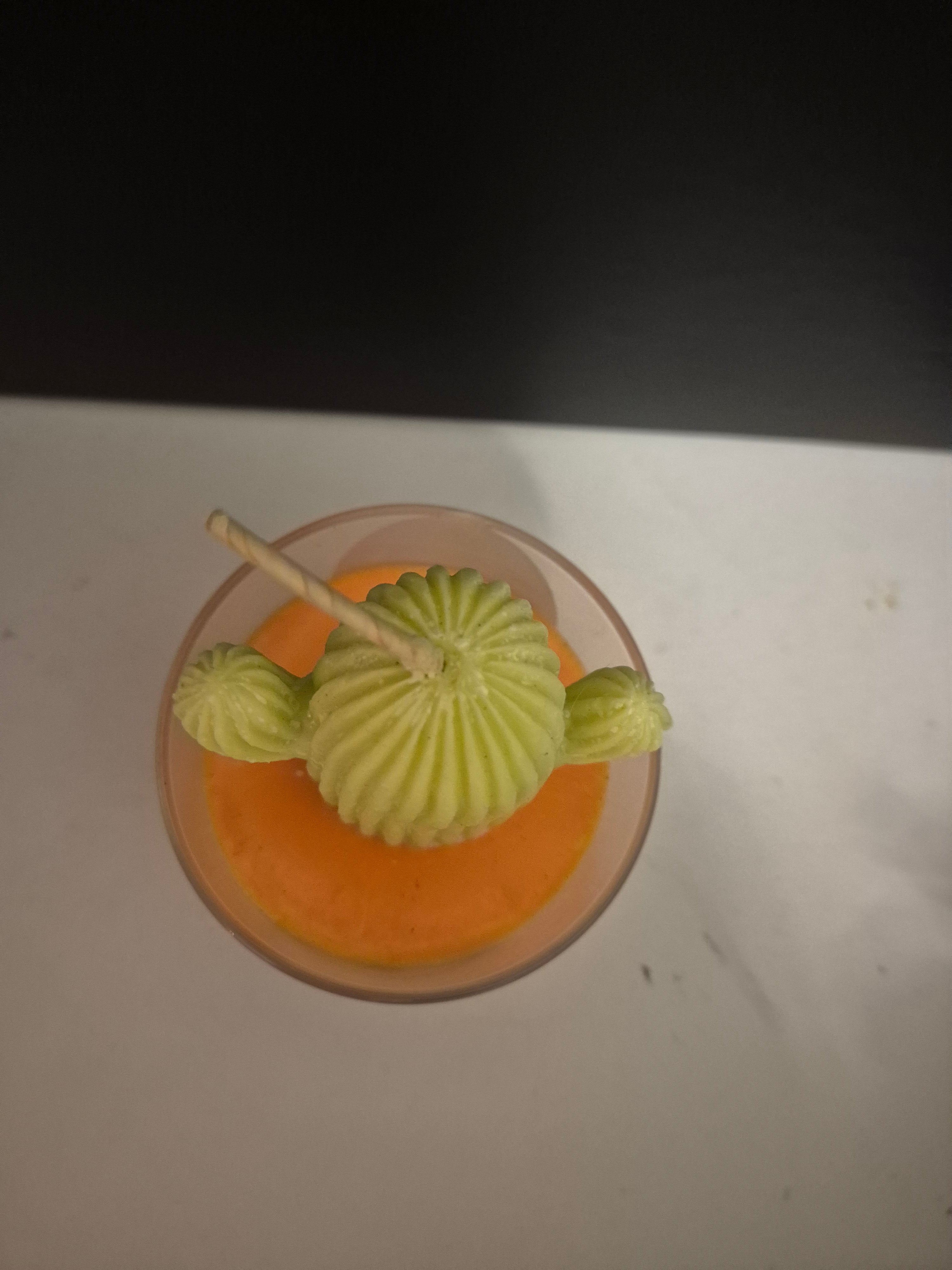 bodega cactus cidre cannelle