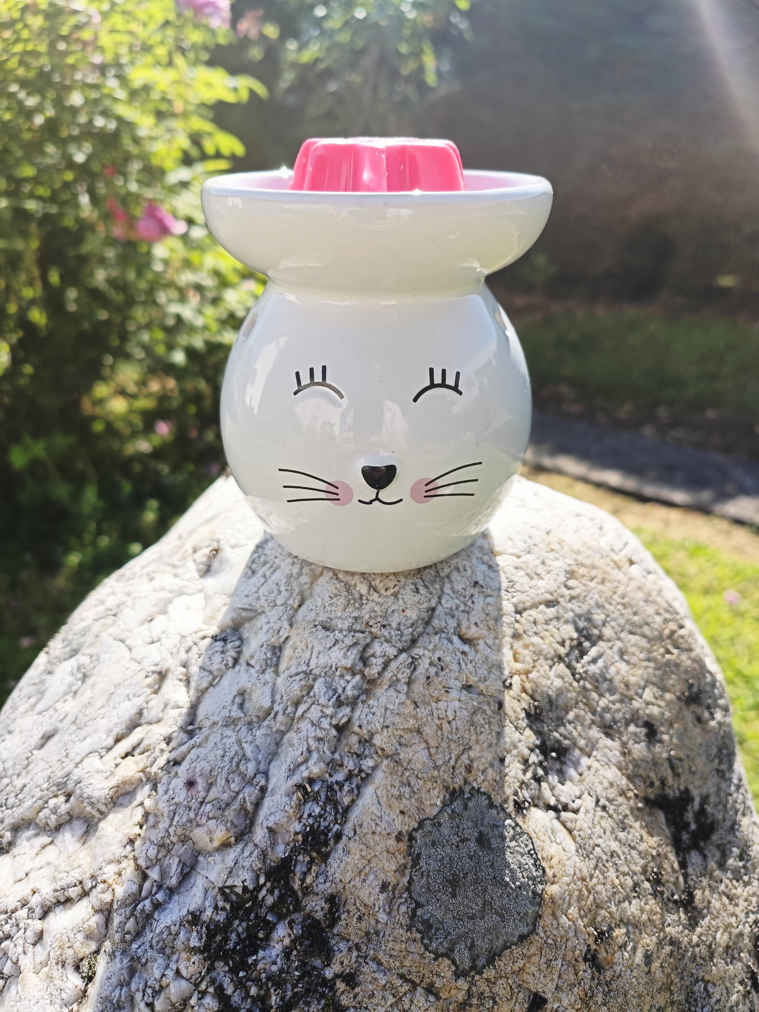 bruleur chat