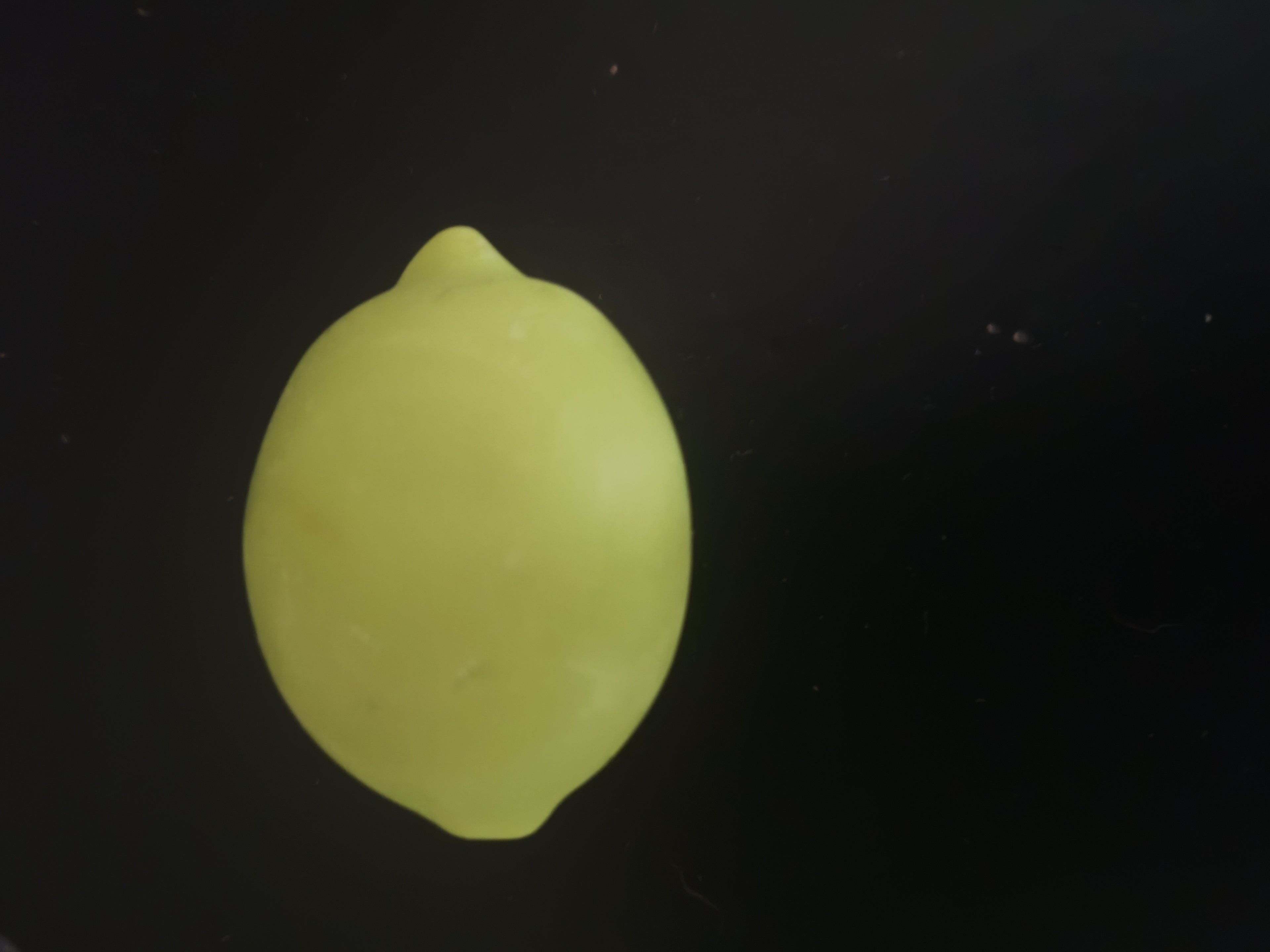 fondant cire végétale parfum de grasse mélisse